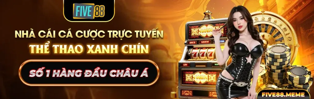Biểu đồ lợi nhuận từ các chiến lược cá cược kèo chính